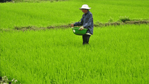 Amoni clorua là nguồn cung cấp nitơ trong phân bón (90% sản lượng amoni clorua thế giới)