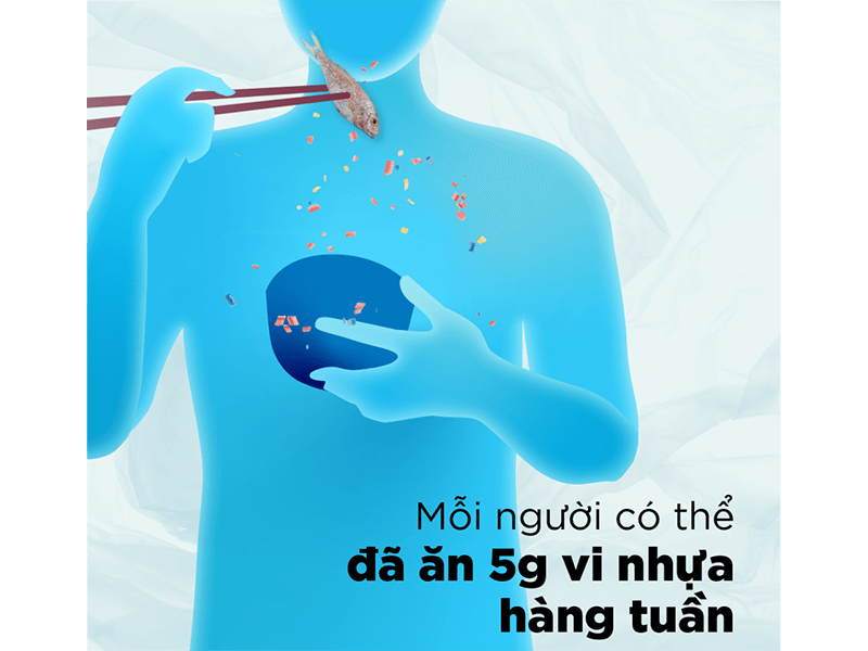Vi nhựa gây nguy hại đối với sức khỏe con người