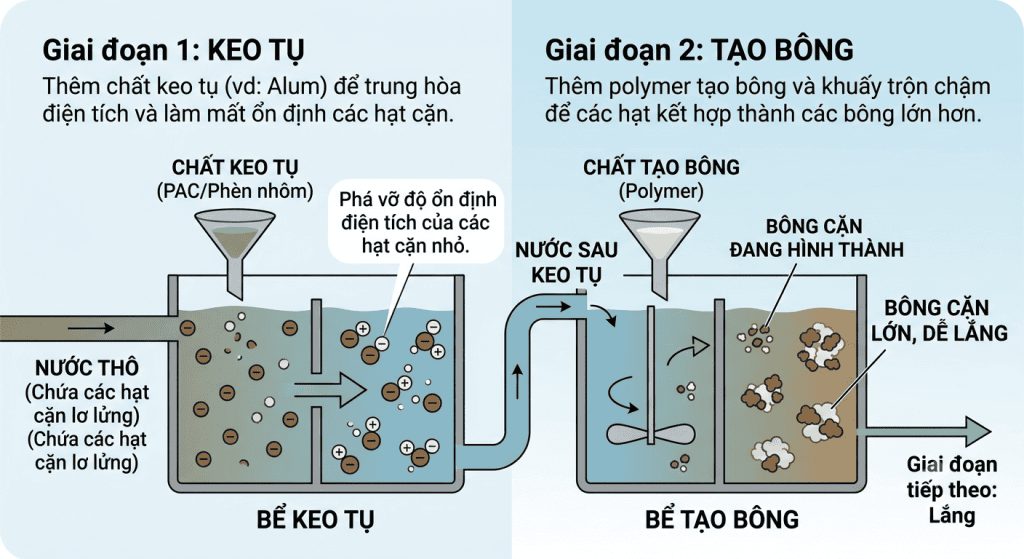 Quá trình keo tụ diễn ra như thế nào?